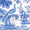 BLUE TOILE